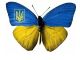 Украина, символика. Источник - http://olimp.ippo.kubg.edu.ua/