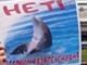 Пикет против дельфинариев. Фото: Александр Воронин, Каспаров.Ru