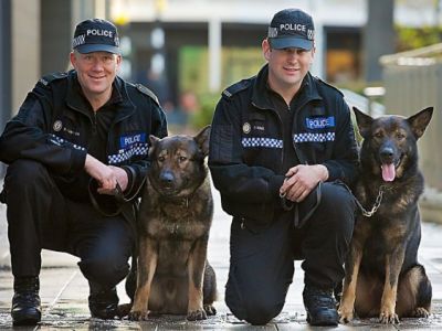Американские полицейские с собаками. Фото: sobakovod.club