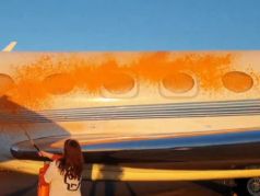 "Экоактивистки" обливают краской самолеты. Скрин видео: t.me/tovt_anastasia